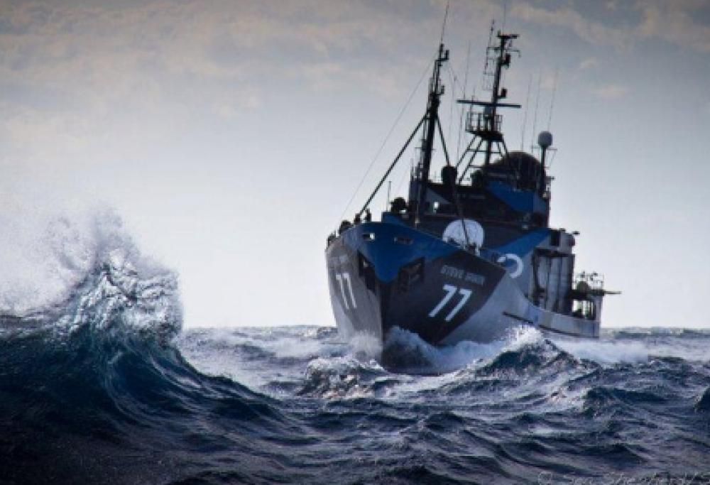 Aiutiamo Sea Shepard