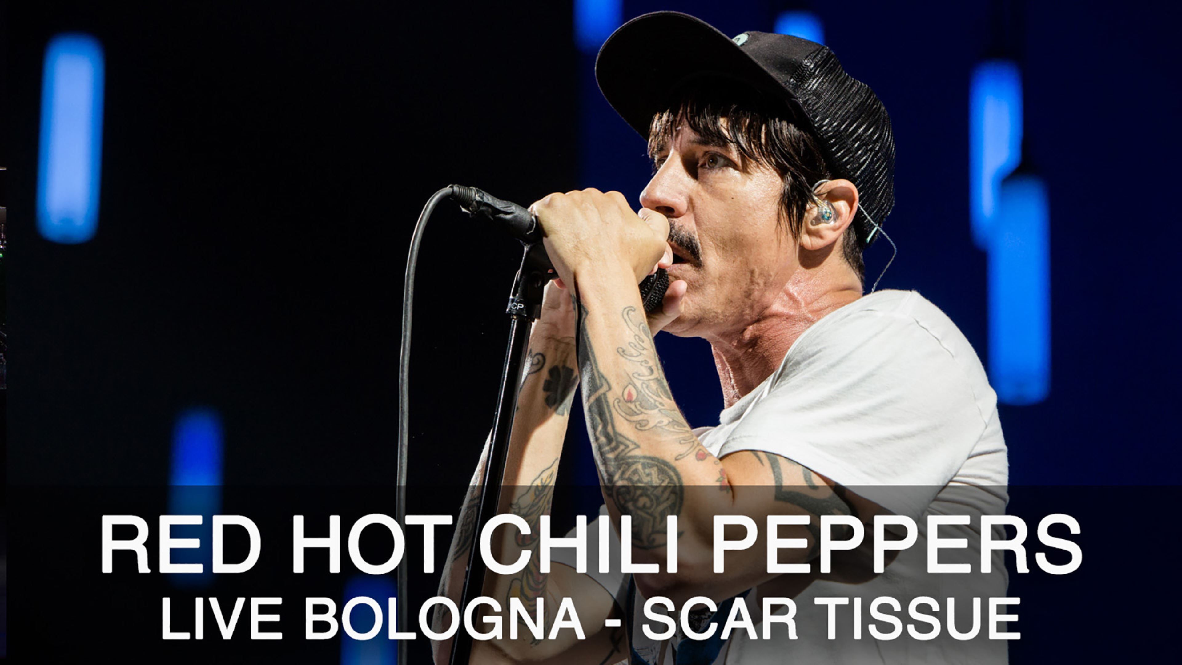 Red Hot Chili Peppers live: il video di Scar Tissue a Bologna