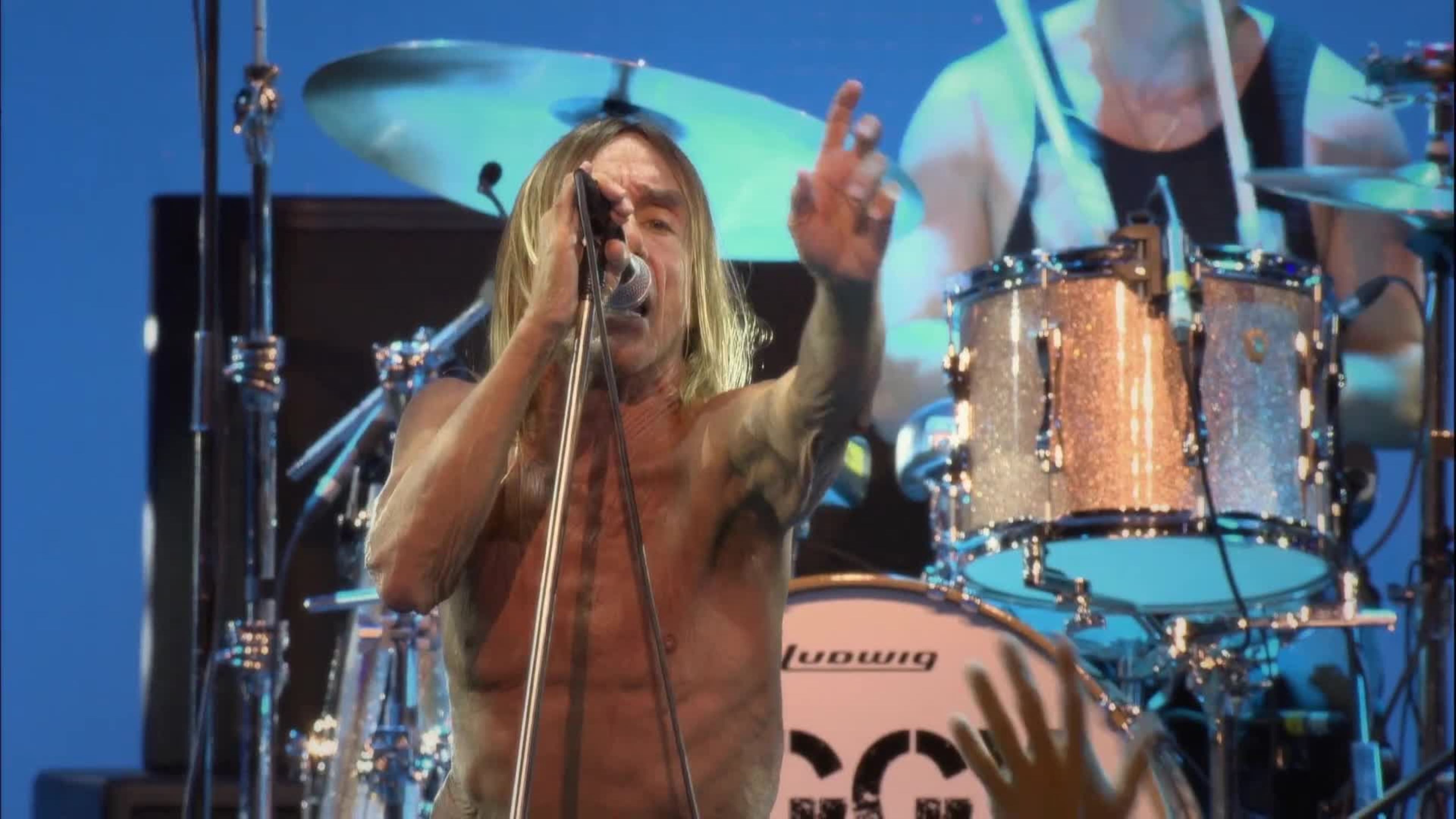 Iggy Pop Live in concerto a Basilea: il trailer ufficiale