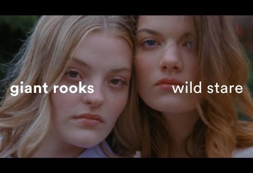 Giant Rooks - Wild Stare