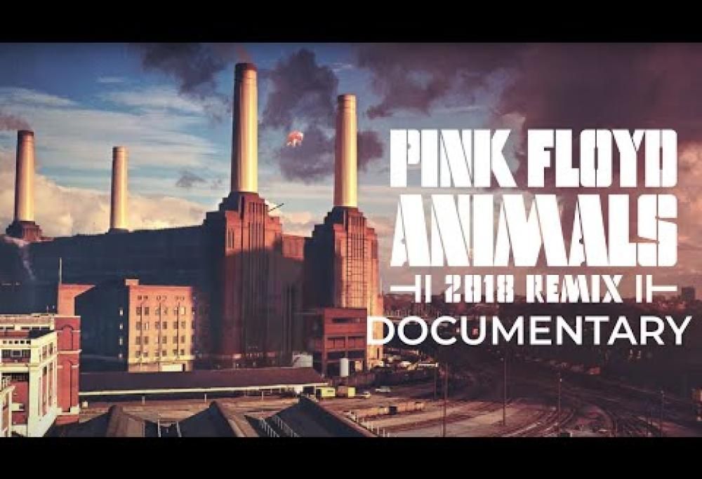 Pink Floyd, il documentario integrale dedicato all’album Animals. Guardalo qui