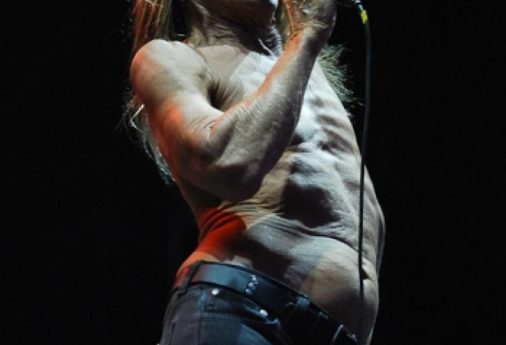 Iggy Pop Live a Rho