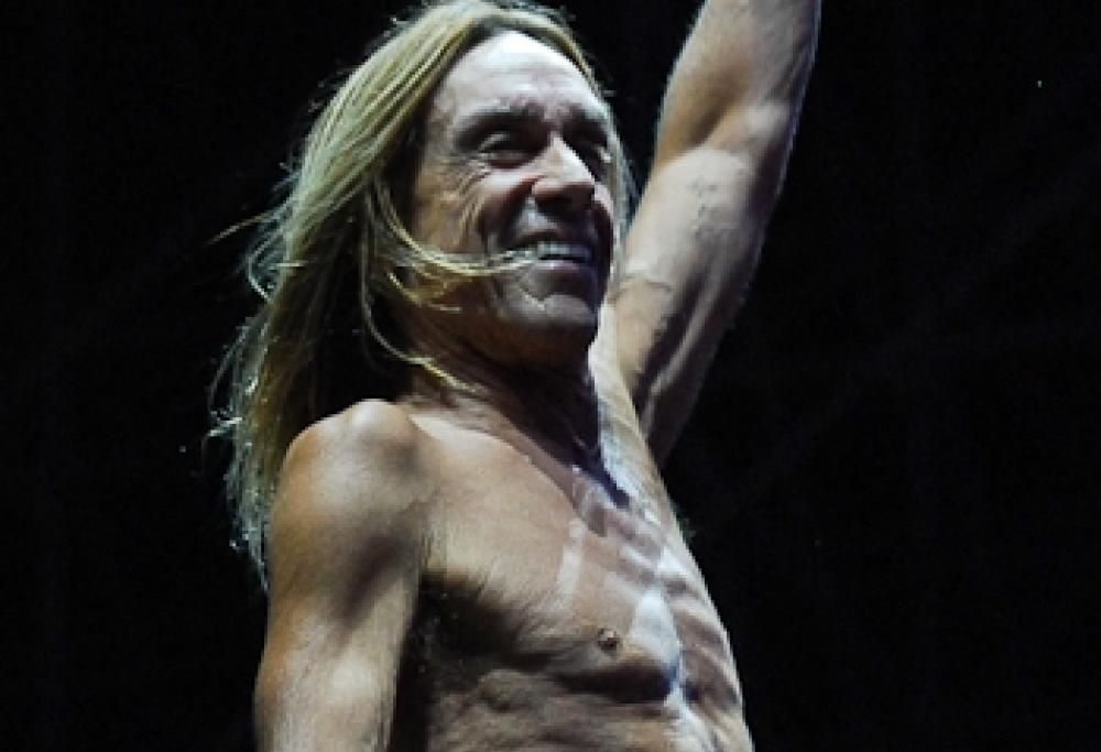 Iggy Pop Live