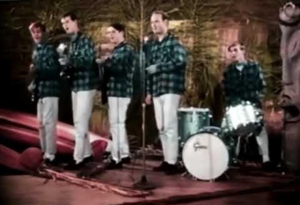 The Beach Boys - Surfin' Safari