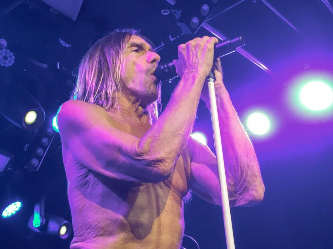 Regolamento: Iggy Pop in concerto a Mantova