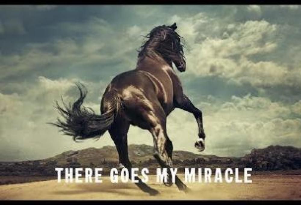 Bruce Springsteen - There Goes My Miracle