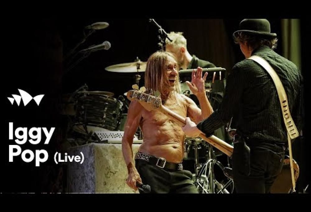 Iggy Pop - I Wanna Be Your Dog (live)