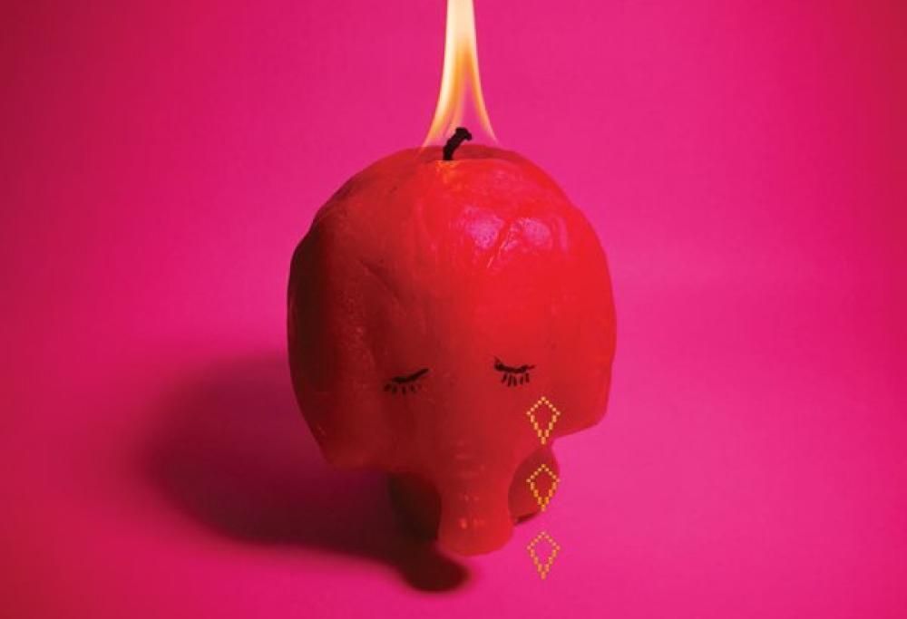 Pink Elephant