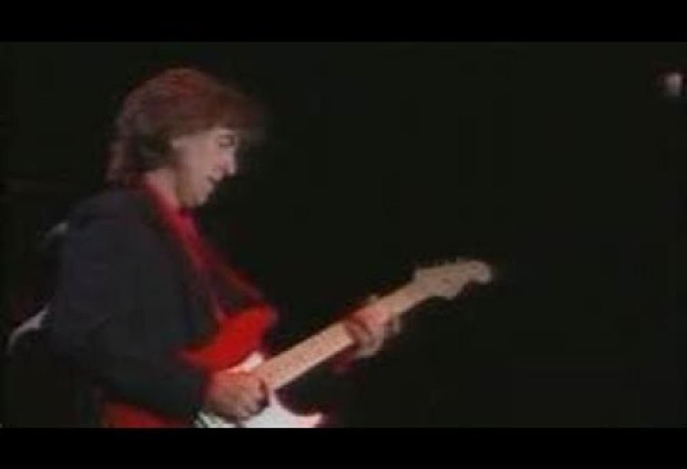 George Harrison with Eric Clapton: Live In Japan