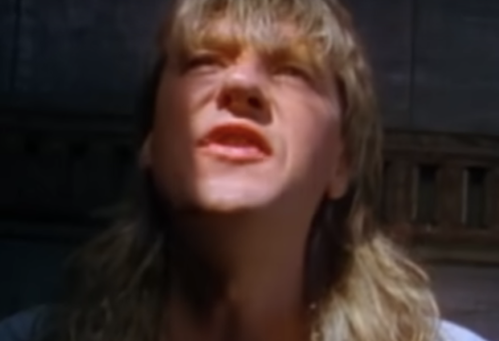 Def Leppard - Animal