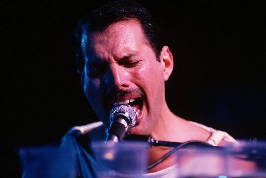 Regolamento: FREDDIE MERCURY – NEVER BORING