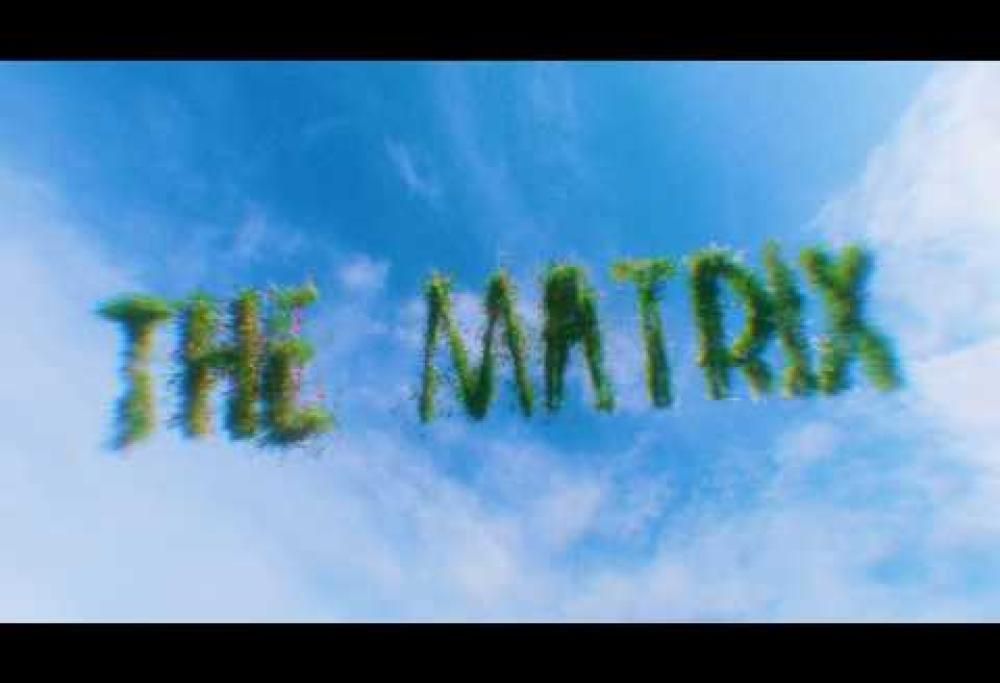Mother Mother - The Matrix