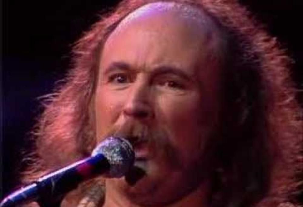 Crosby, Stills & Nash - Long Time Gone