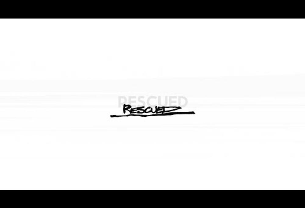 Foo Fighters - Rescued