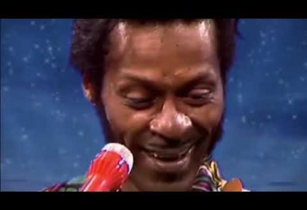 Chuck Berry - You Never Can Tell