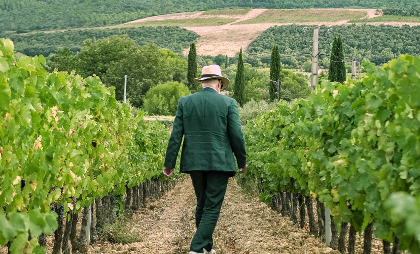 Queen: Roger Taylor lancia il suo vino, "Queen Côtes de Provence Rosé". Tutti i dettagli