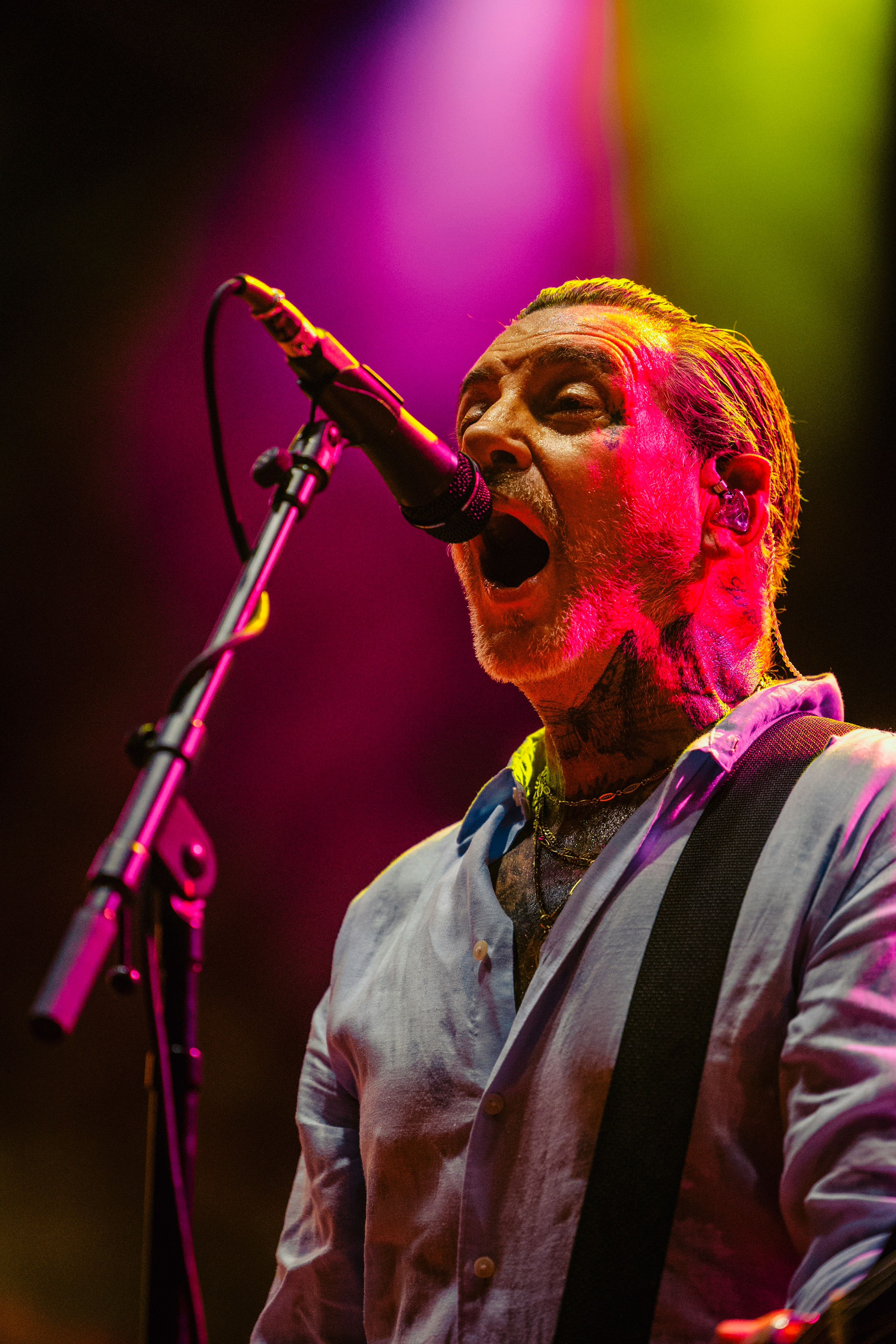 Social Distortion 12