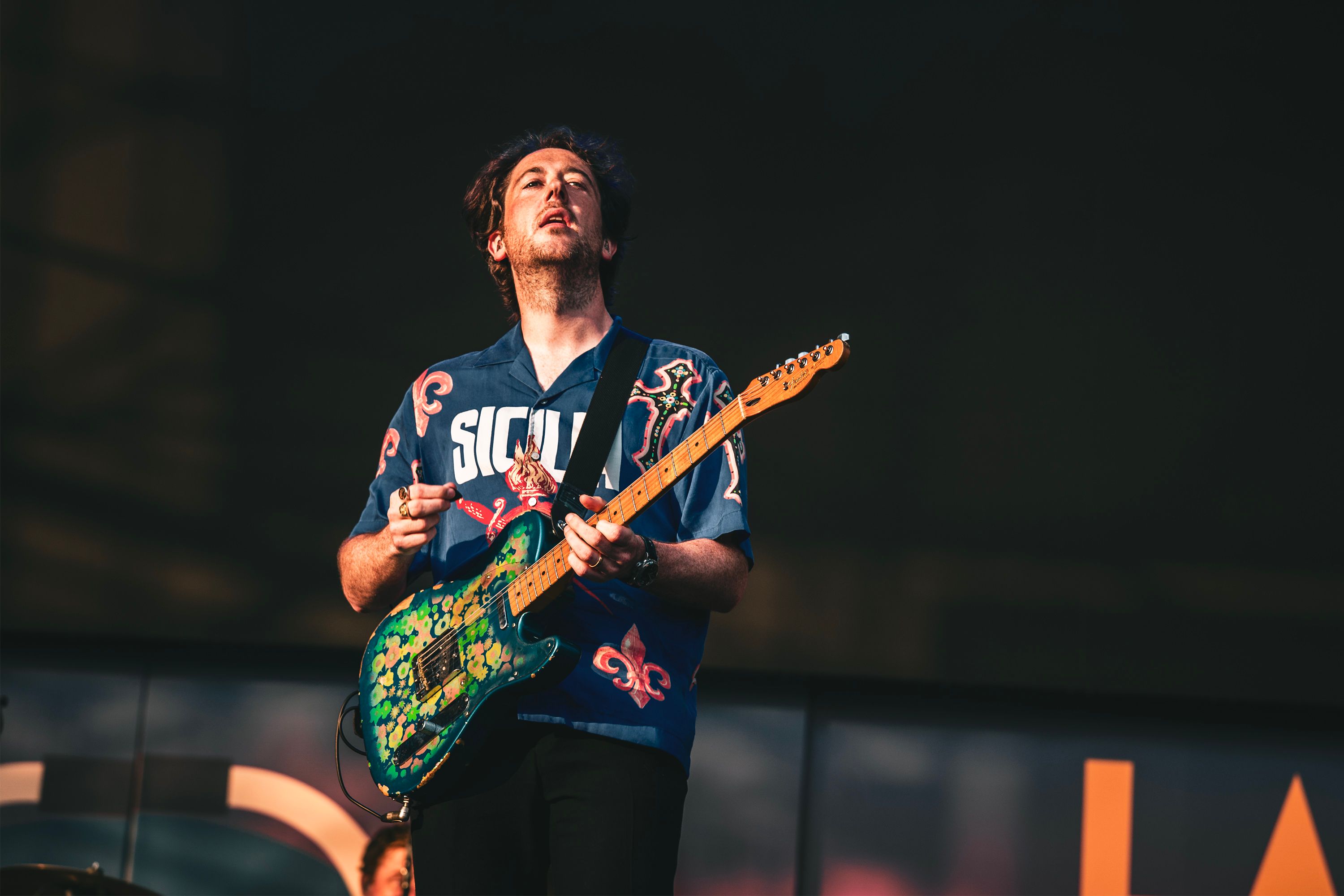 wombats-5