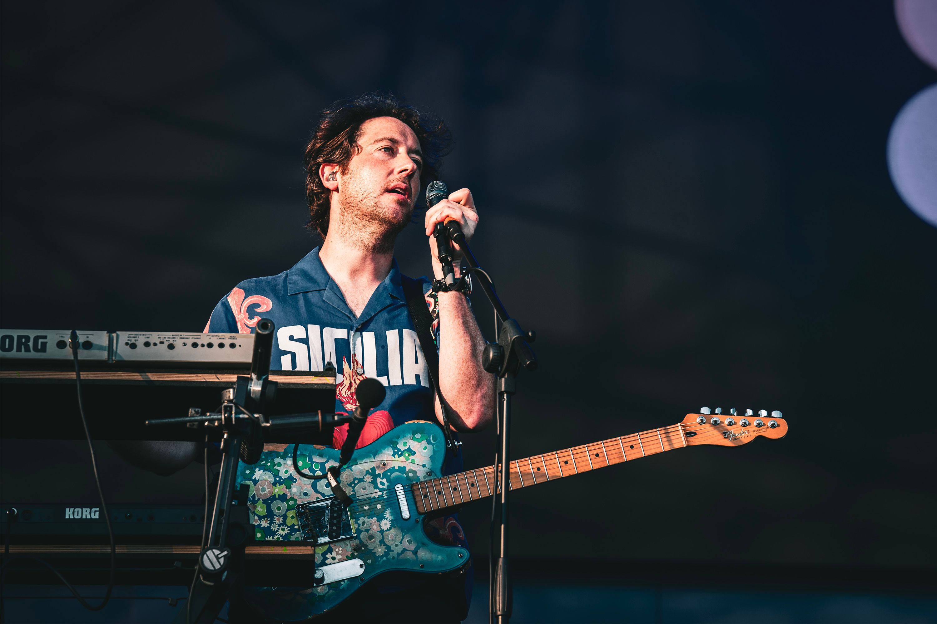 wombats-3