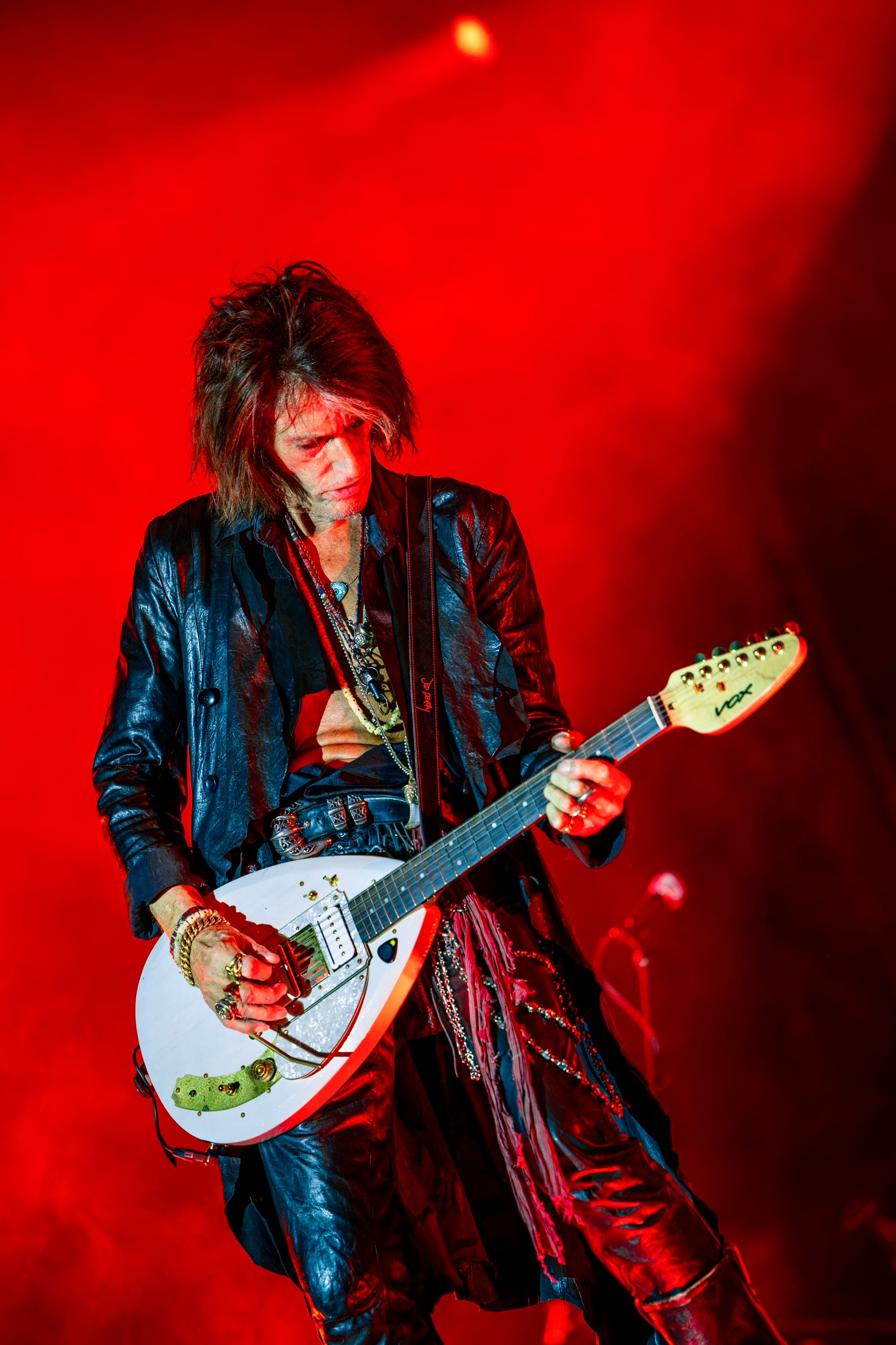 Hollywood Vampires6369