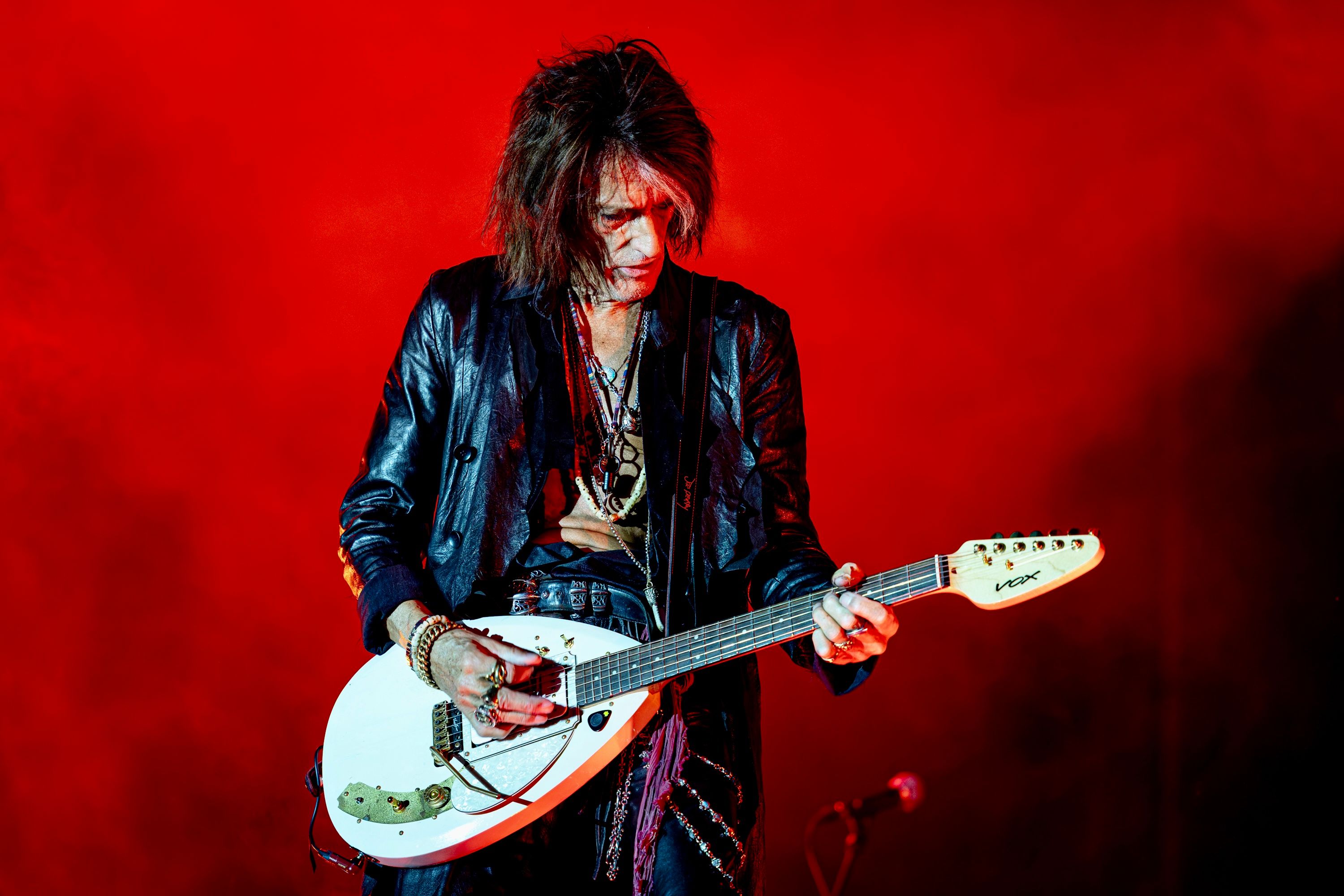 Hollywood Vampires6377