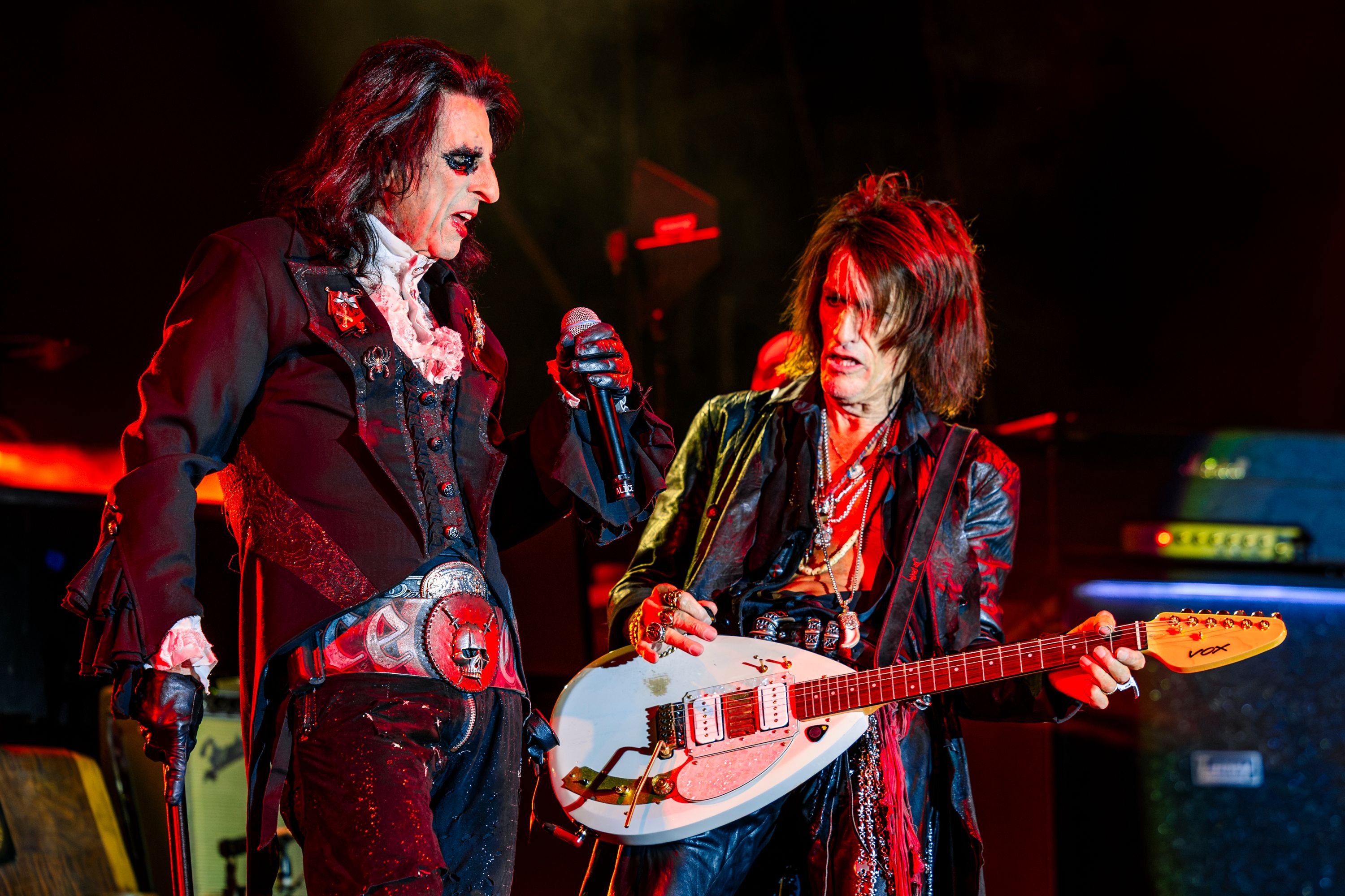Hollywood Vampires6567
