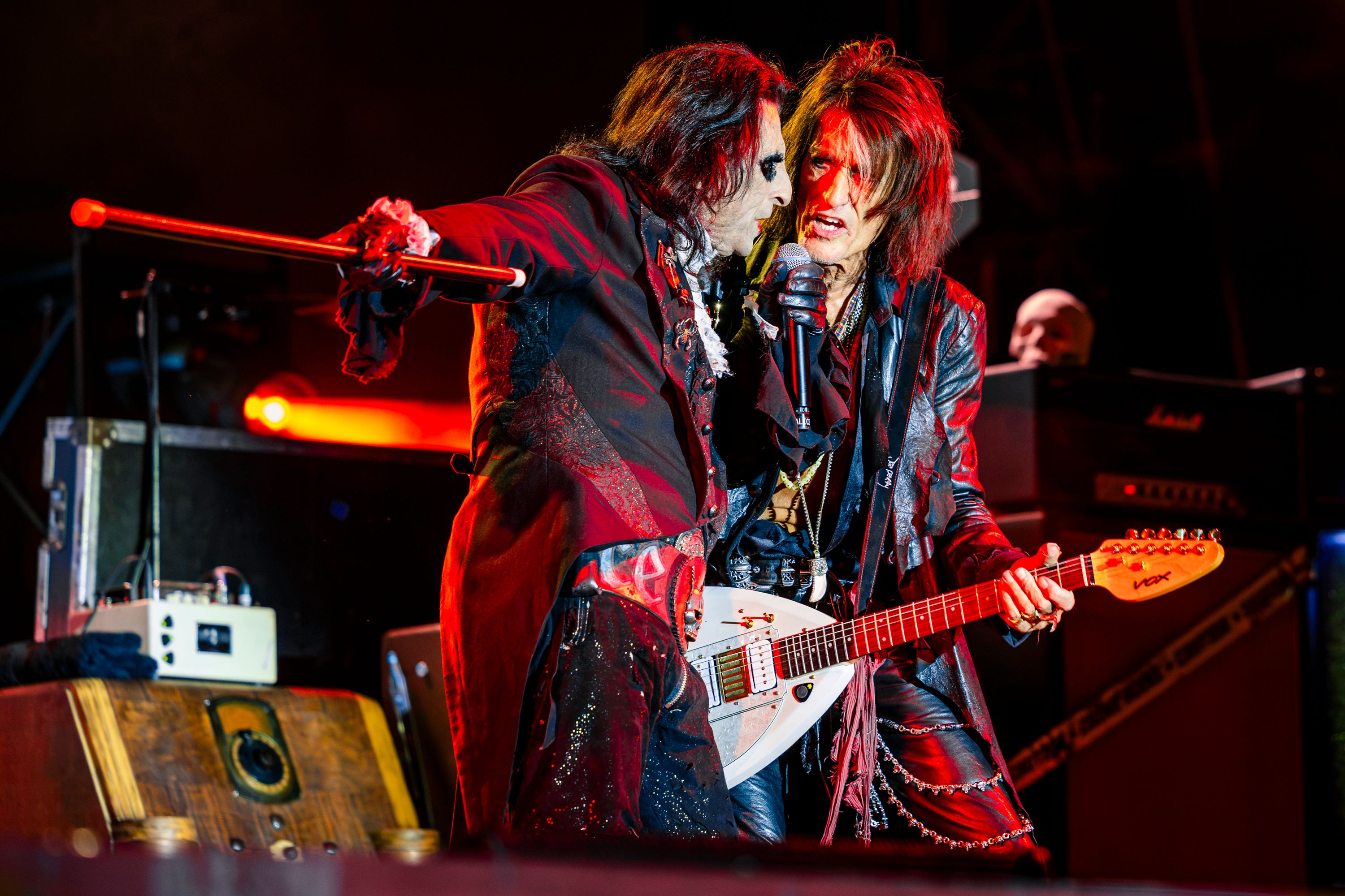 Hollywood Vampires6579