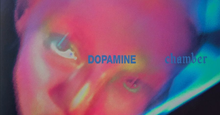 Fontaines D.C.: Dopamine Chamber