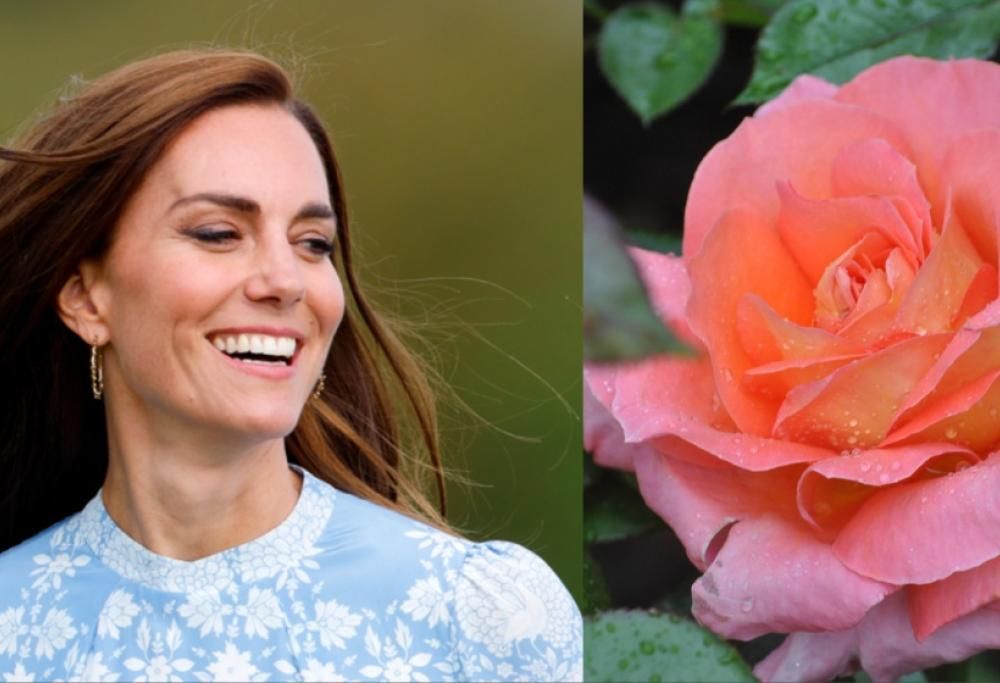 Kate Middleton: ecco la bellissima rosa che le è stata dedicata
