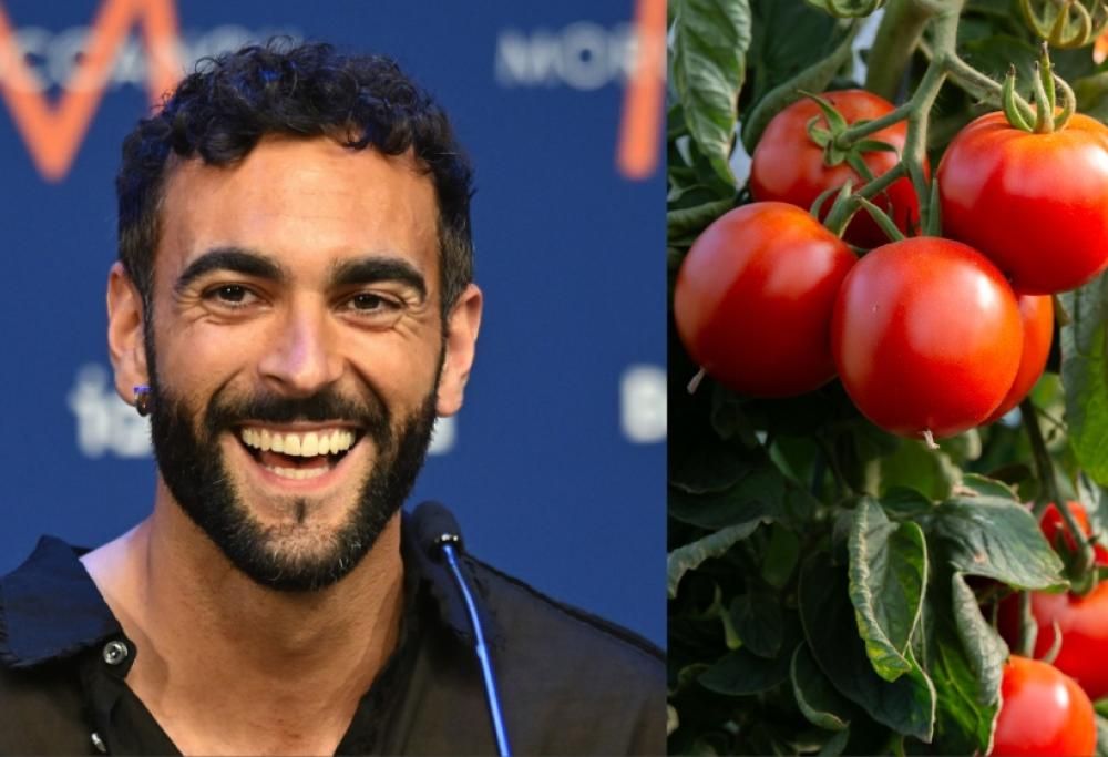 Marco Mengoni: ecco perché sono apparse lattine di polpa di pomodoro con il suo nome