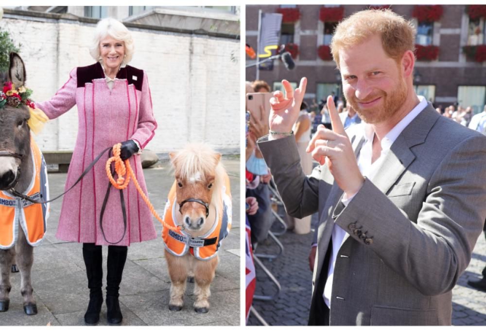 E ora il Principe Harry accusa Camilla