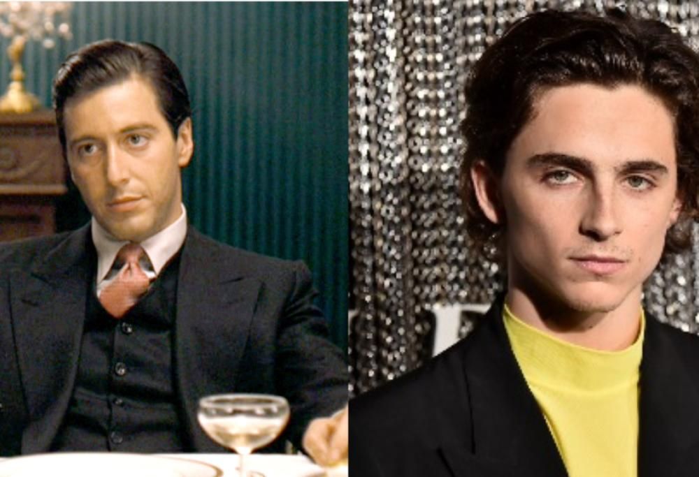 Al Pacino: il mio successore? Timothée Chalamet