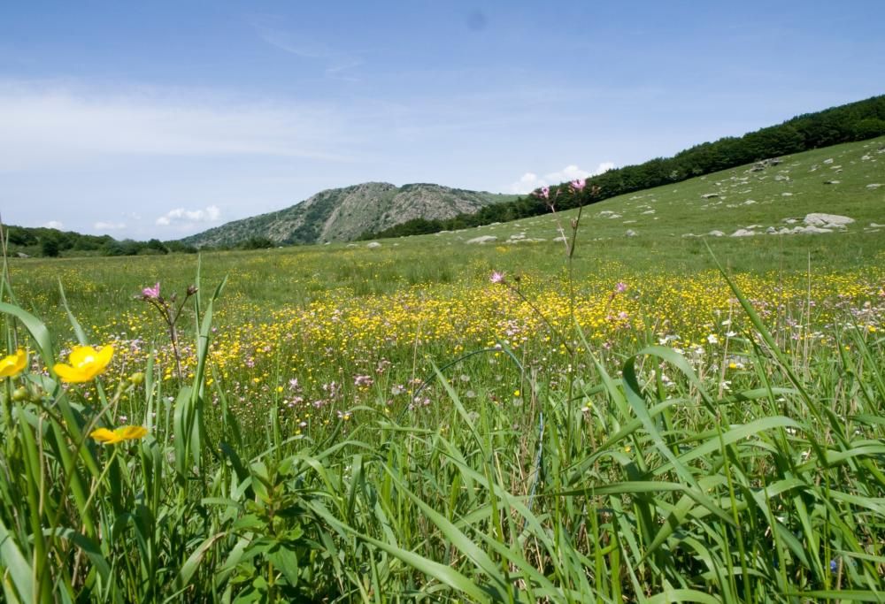 L’Alta Via dei Monti Liguri