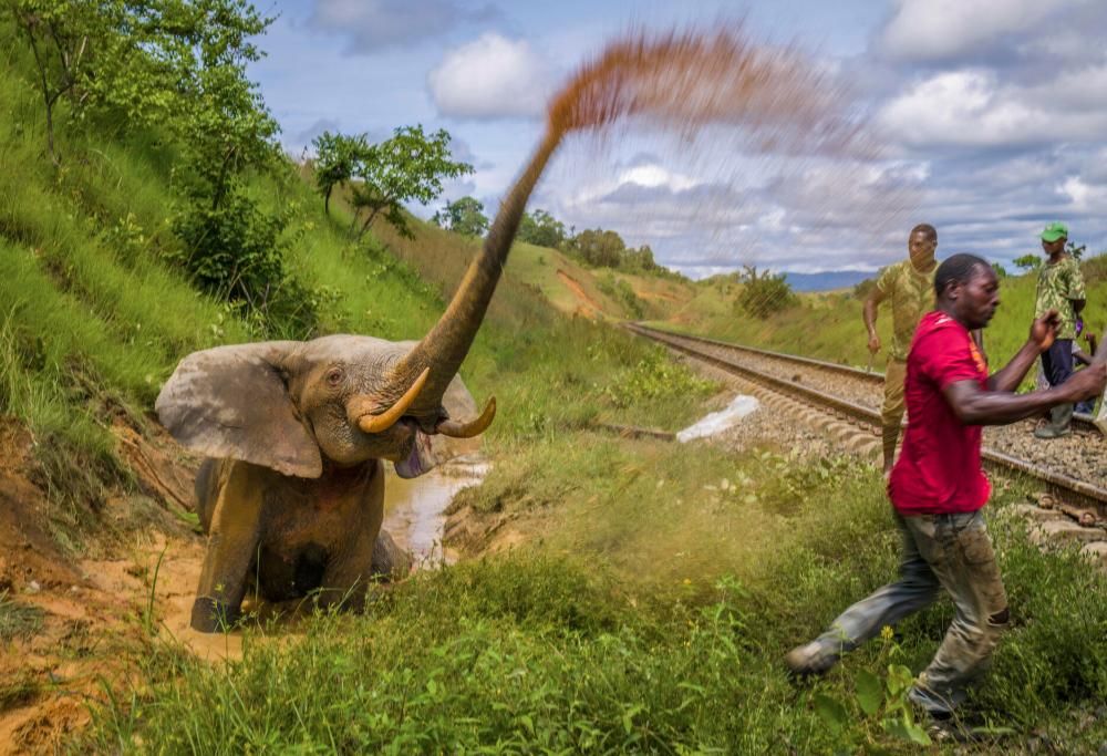 Assegnati i premi per il concorso di Fotografia Ambientale 2023