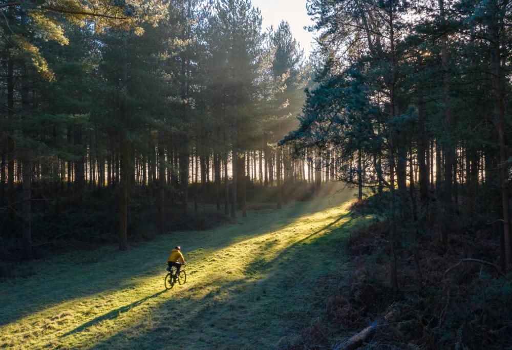 Mental wellness: di cosa si tratta