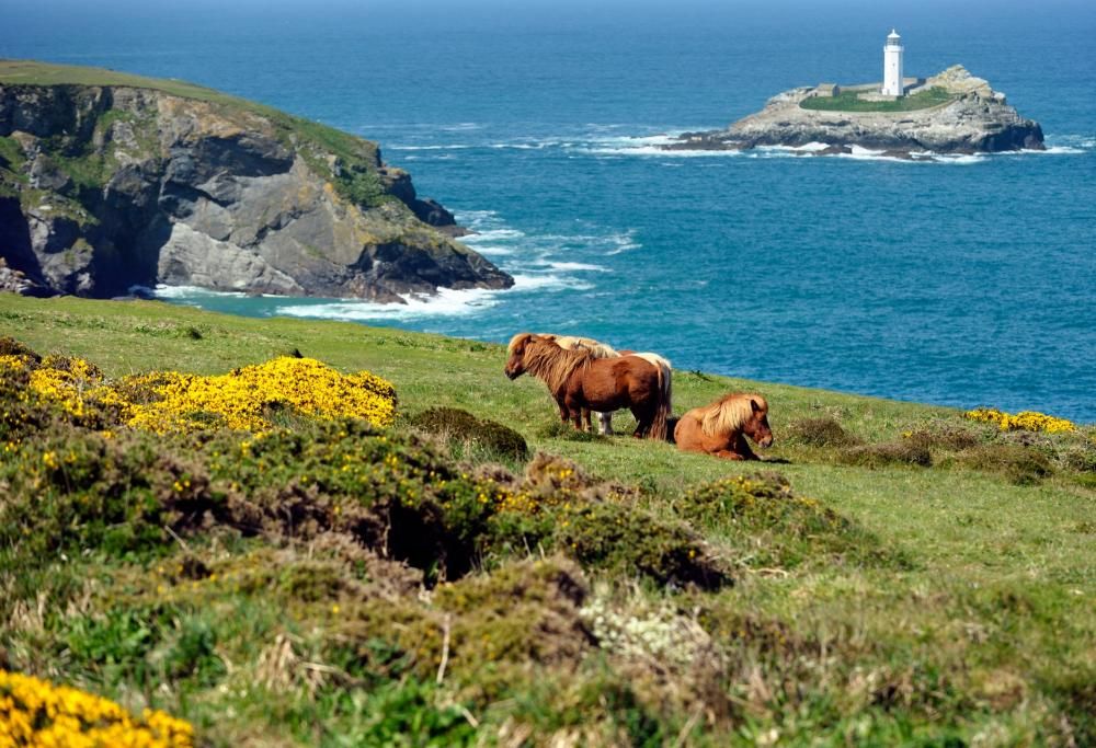 Oltre 50.000 sterline per un lavoro in un’isola meravigliosa