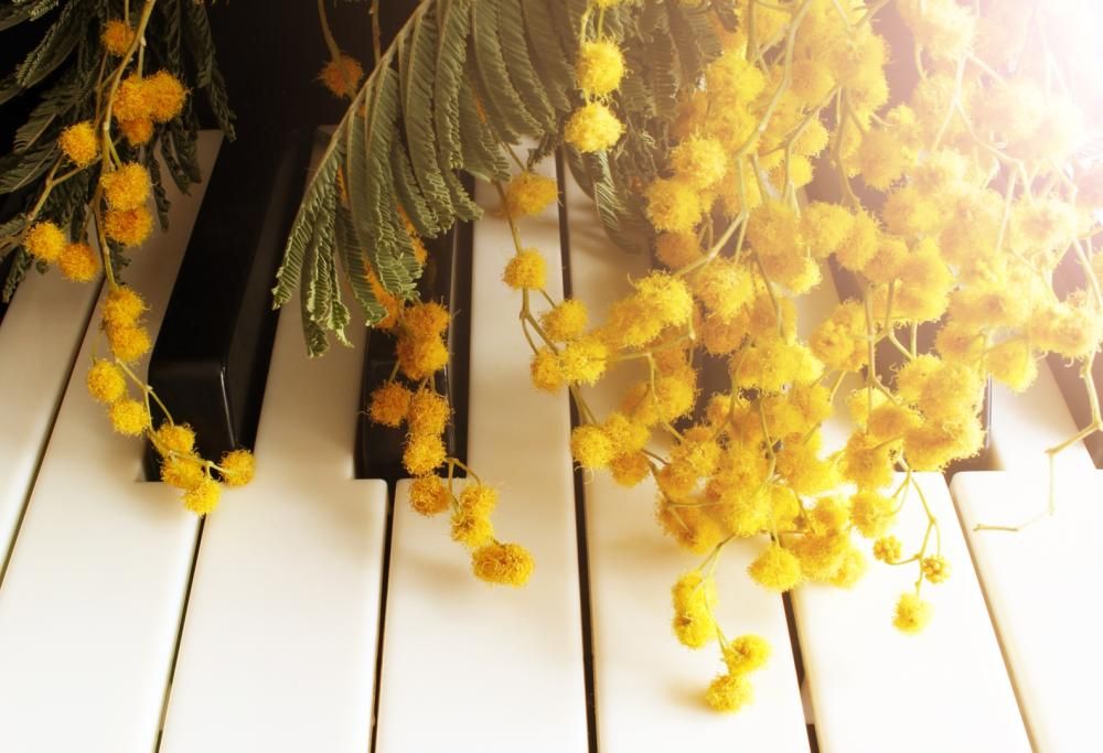 8 marzo: per la Giornata Internazionale della donna, la grande musica di Radio Monte Carlo è tutta al femminile!