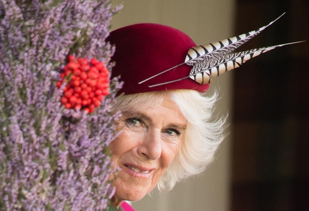 Camilla non sarà mai Regina, O no?