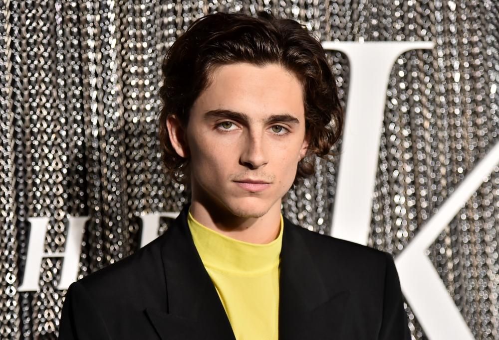 Alla Mostra del Cinema arriva anche Timothée Chalamet 