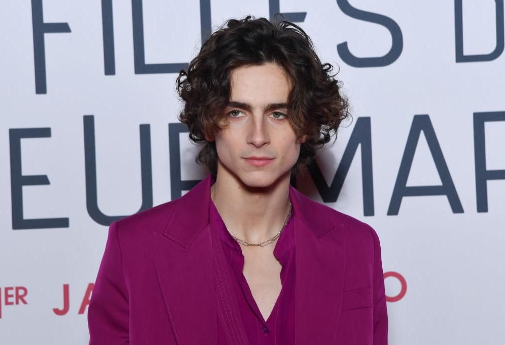 Timothée Chalamet interpreterà Bob Dylan