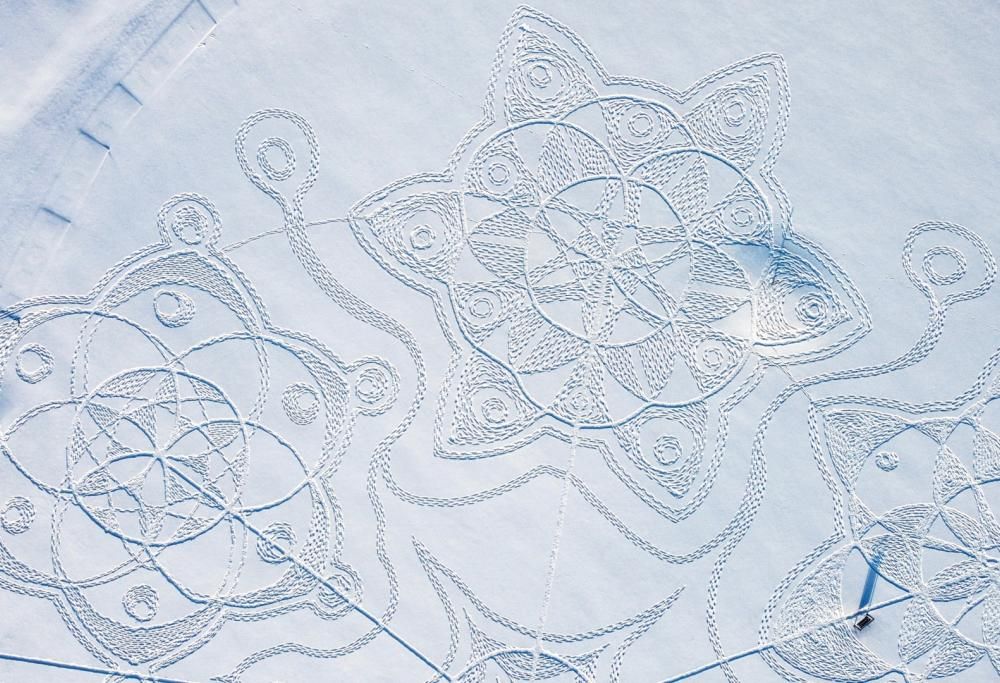 Arazzi sulla neve: il meraviglioso fiore che sta conquistando il mondo