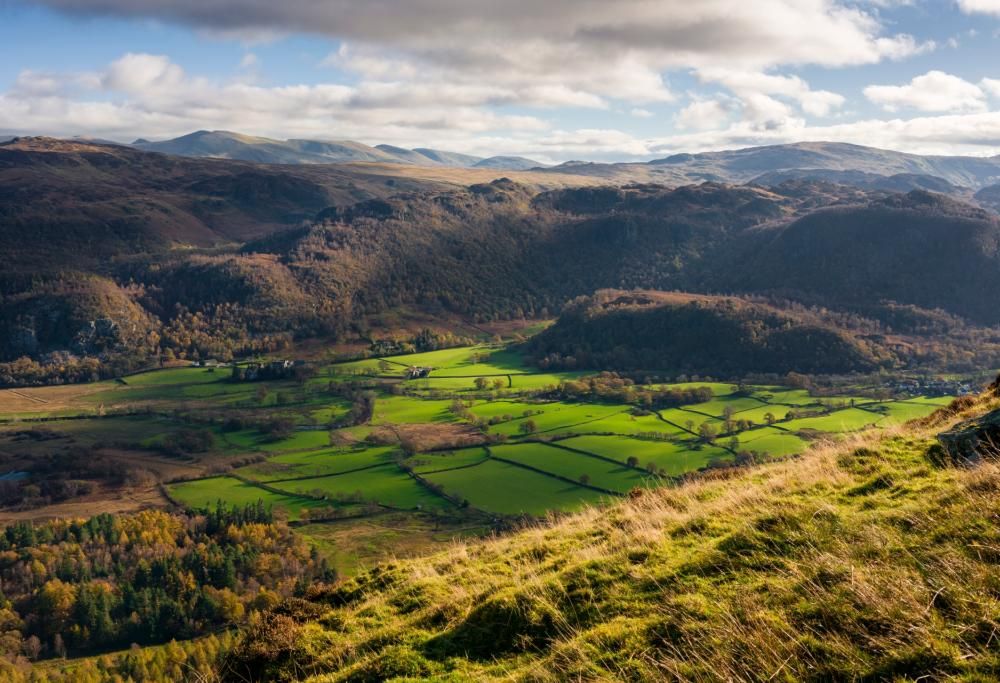 Banksy raddoppia? Ecco le misteriose sculture che hanno emozionato la Gran Bretagna