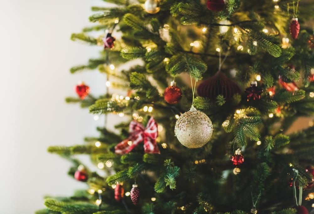 Albero di Natale vero o sintetico: ecco qual è il più ecologico