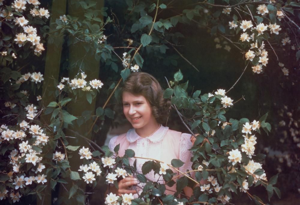 La Regina Elisabetta come non si è mai vista: la clip