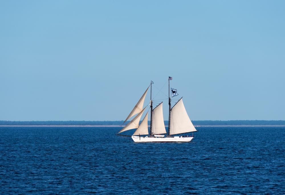 La crociera adesso è a sorpresa