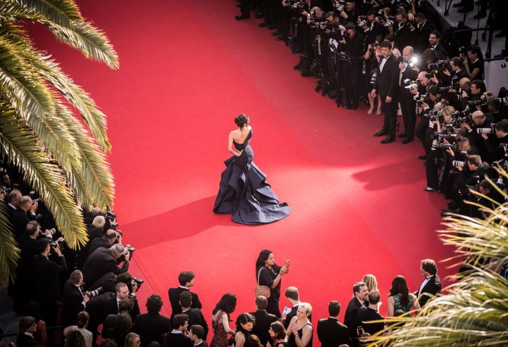 Festival del Cinema di Cannes: i film più attesi
