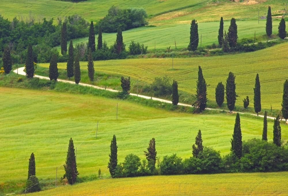 Lascio la città: la nuova scelta per una vita più serena