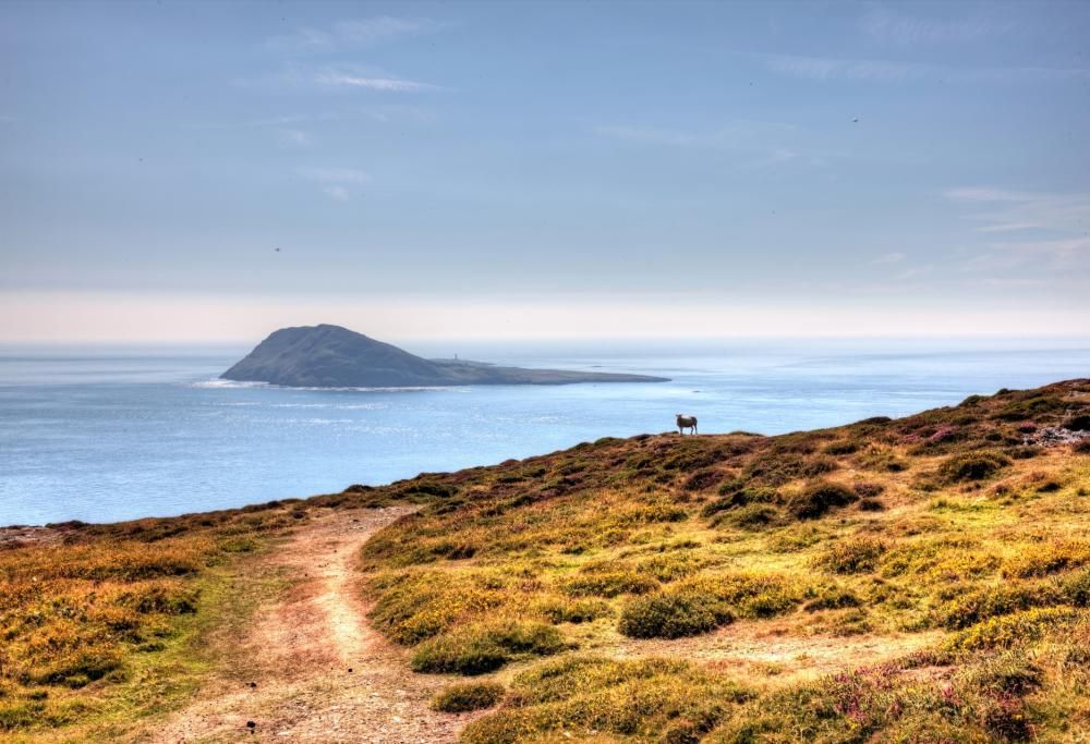 Lavoro dei sogni su un’isola in Galles