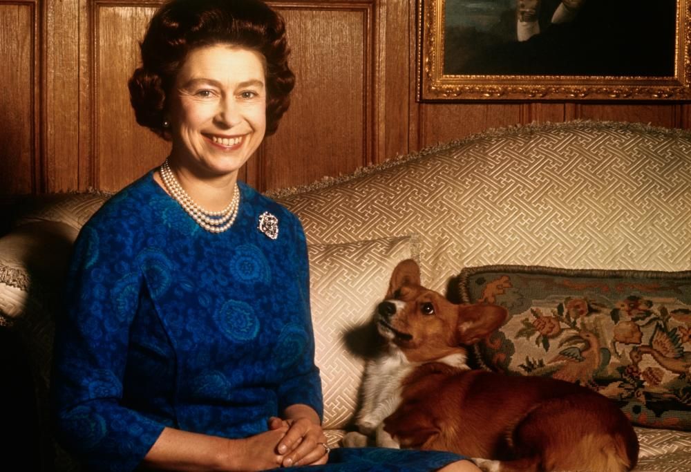 La Regina Elisabetta e i suoi inseparabili corgi