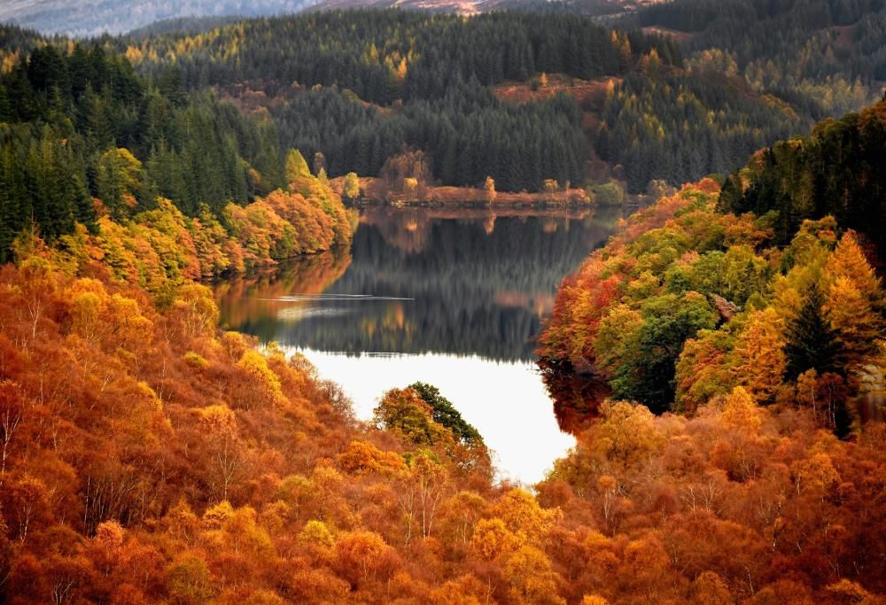 Torna il treno del foliage: ed è subito magia